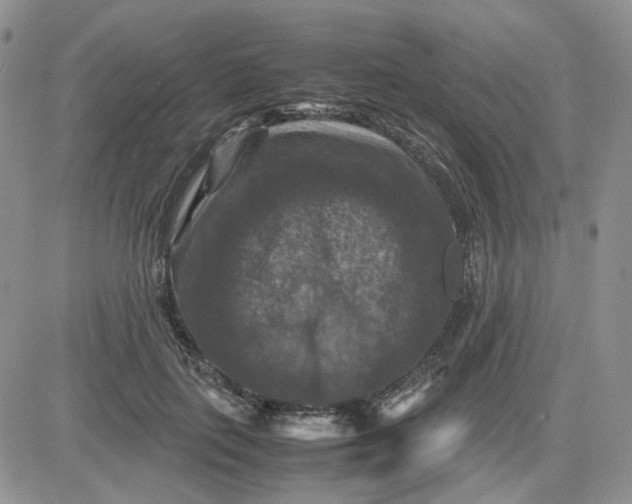 X0000081470651200701262004