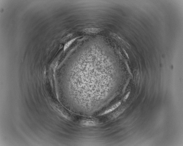 X0000081470655200701262004