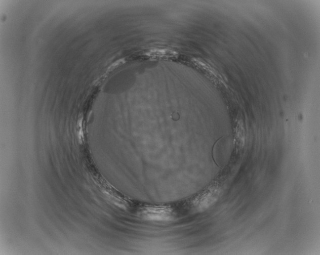 X0000081470659200701262004