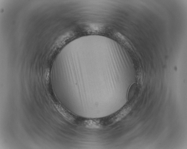 X0000081470660200701262004