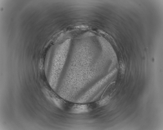 X0000081470665200701262004