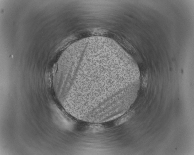 X0000081470666200701262004