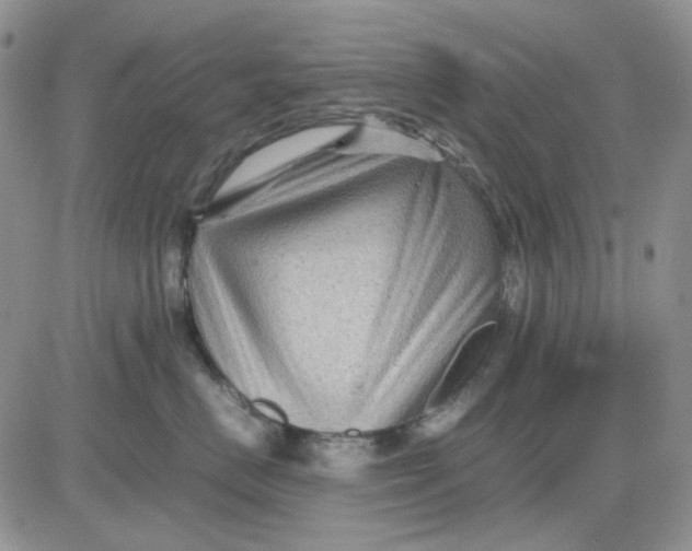 X0000081470670200701262004