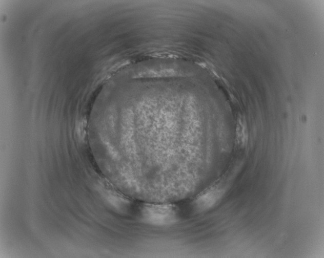 X0000081470671200701262004