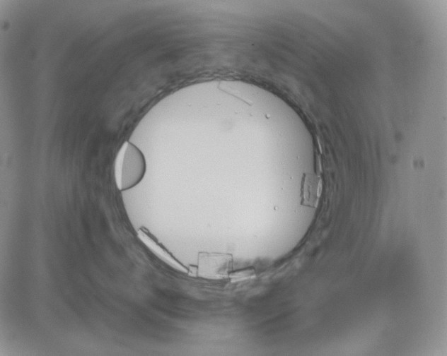 X0000081470672200701262004