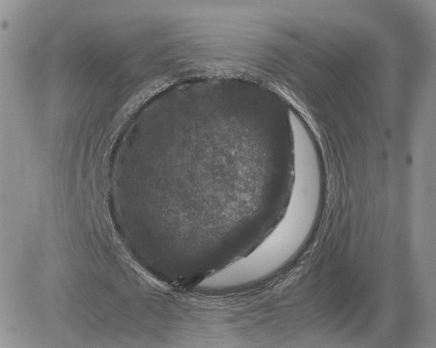 X0000081470673200701262003