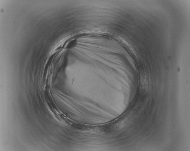 X0000081470674200701262003