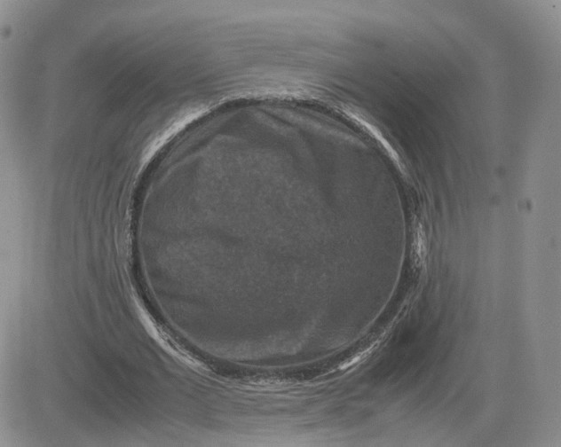 X0000081470677200701262003