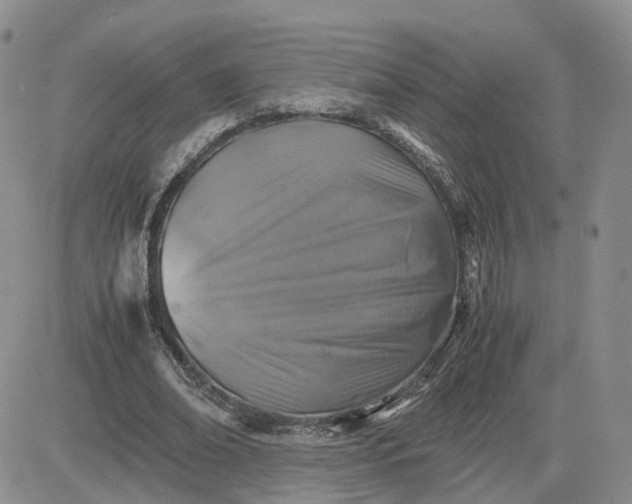 X0000081470678200701262003