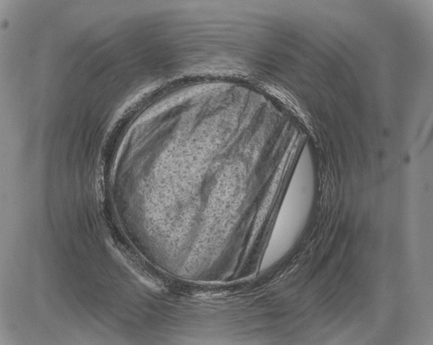 X0000081470680200701262003