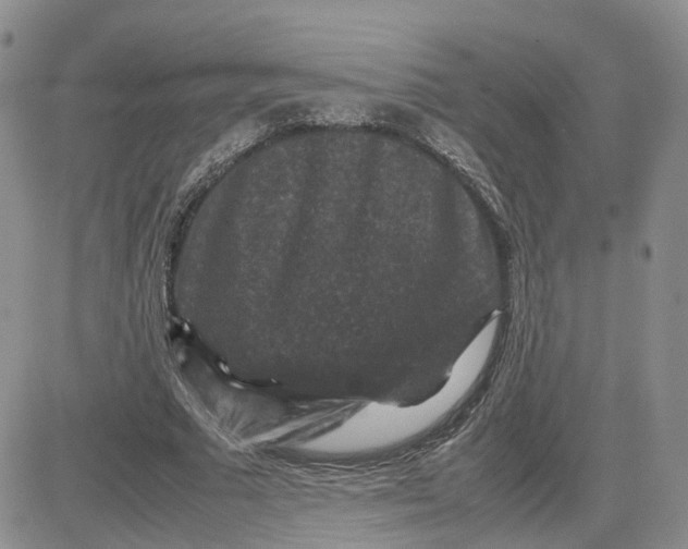 X0000081470681200701262003