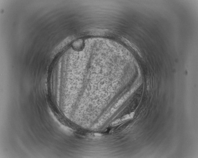 X0000081470682200701262003