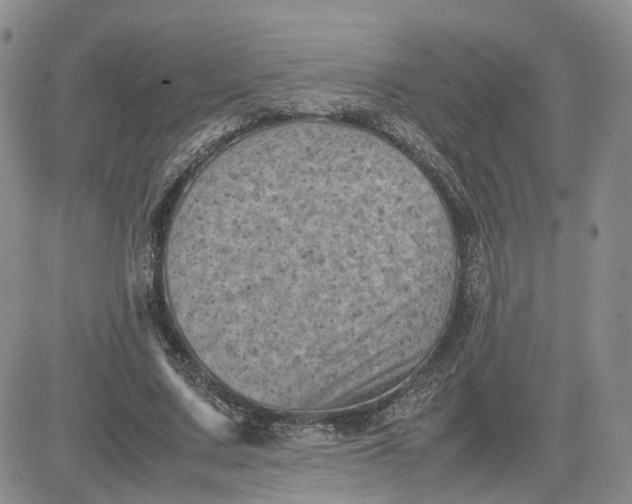 X0000081470683200701262003