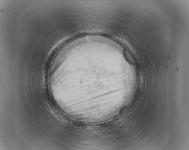 X0000081470684200701262003