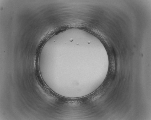 X0000081470686200701262003