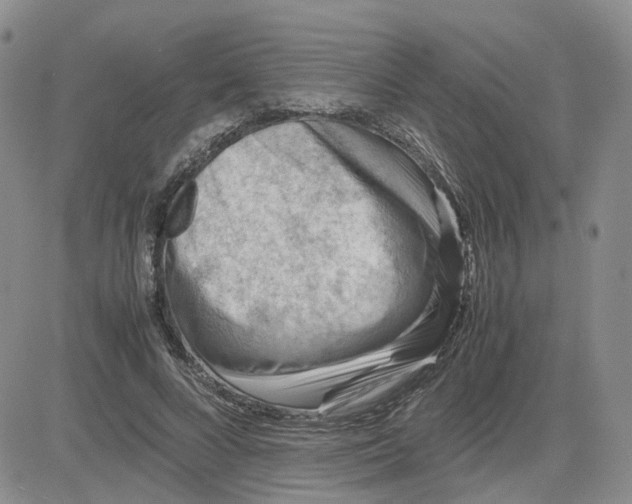 X0000081470688200701262003