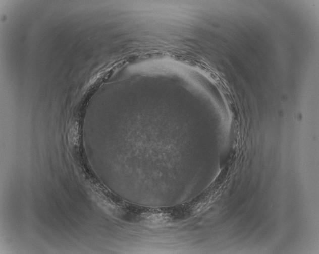 X0000081470689200701262003