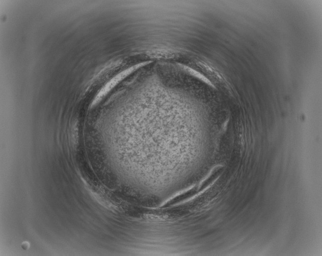 X0000081470690200701262003