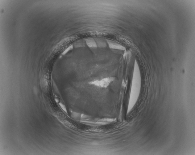 X0000081470691200701262003