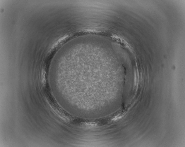 X0000081470692200701262003