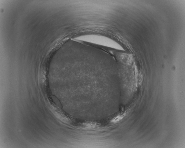 X0000081470693200701262003