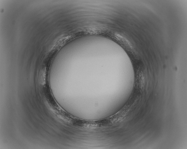 X0000081470694200701262003