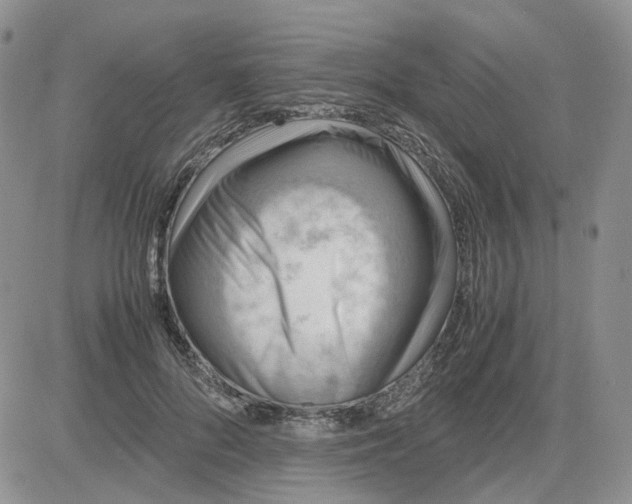 X0000081470696200701262003