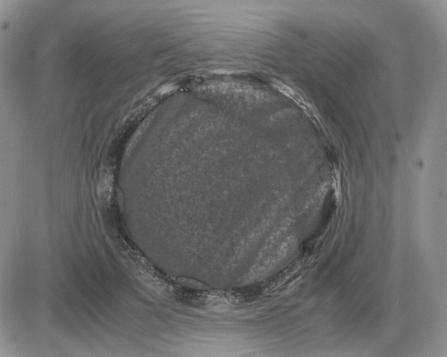 X0000081470697200701262003