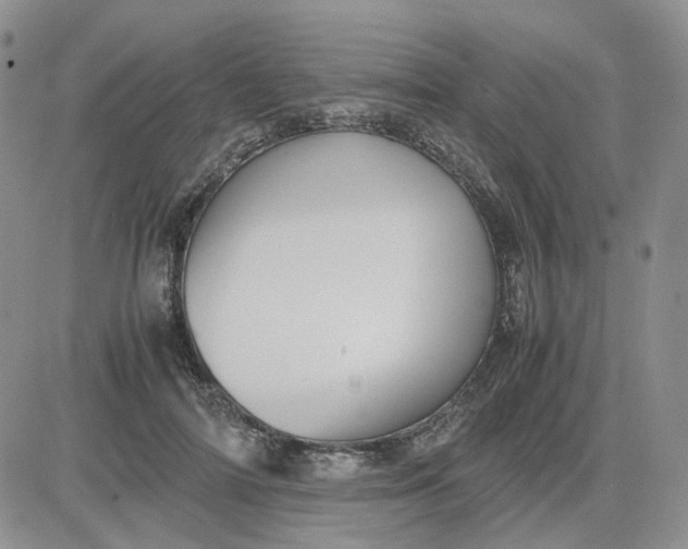 X0000081470698200701262003