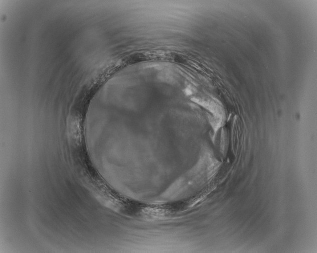 X0000081470699200701262003