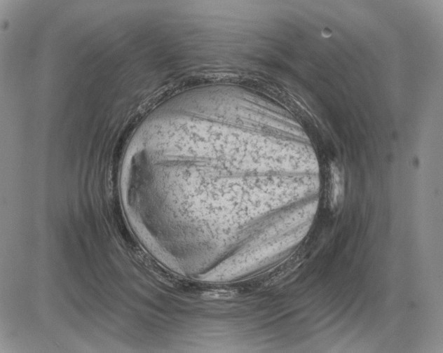 X0000081470700200701262003