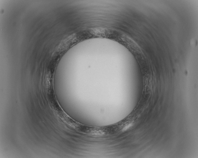 X0000081470702200701262003