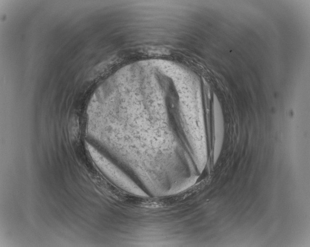 X0000081470704200701262003