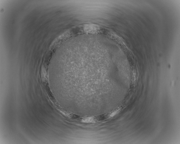 X0000081470705200701262003