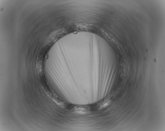 X0000081470706200701262003