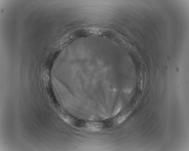 X0000081470707200701262003