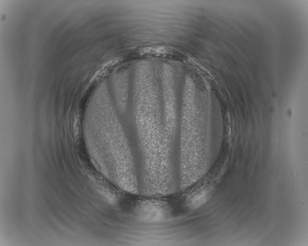 X0000081470708200701262003