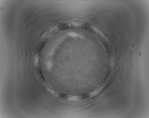 X0000081470709200701262003