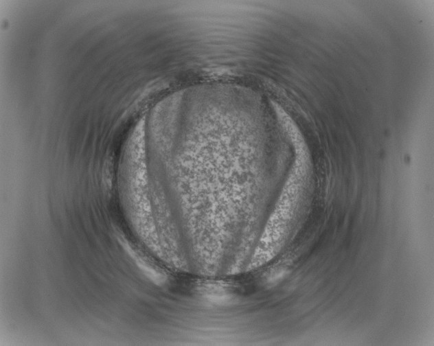 X0000081470710200701262003