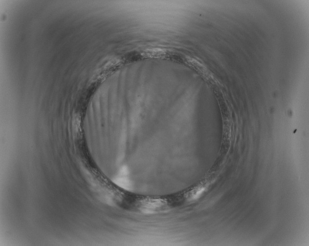 X0000081470711200701262003