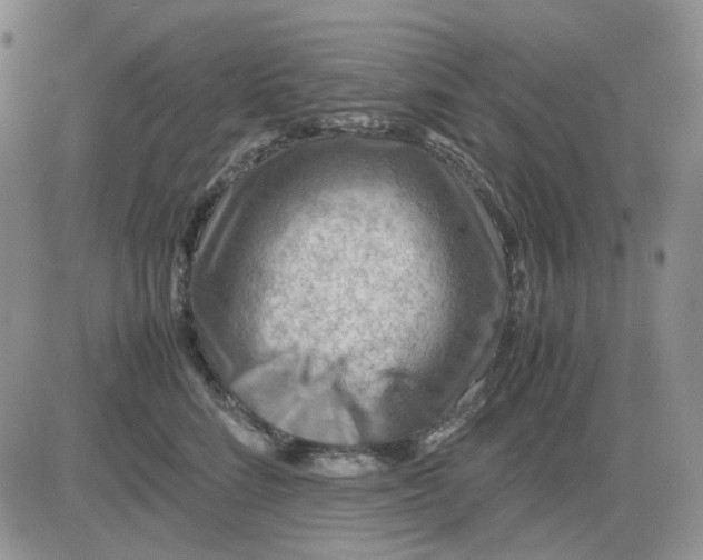 X0000081470712200701262003