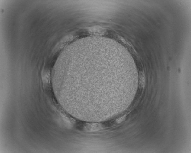 X0000081470713200701262003