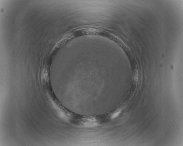 X0000081470715200701262003