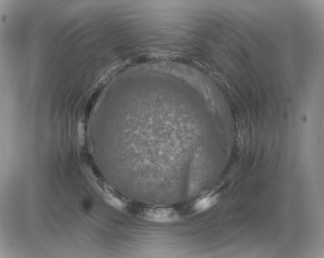 X0000081470716200701262003