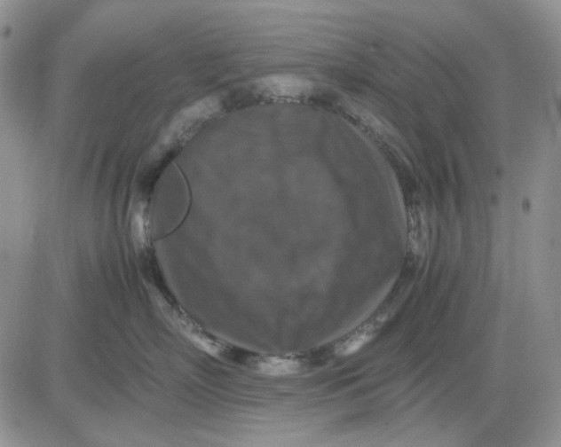 X0000081470718200701262003