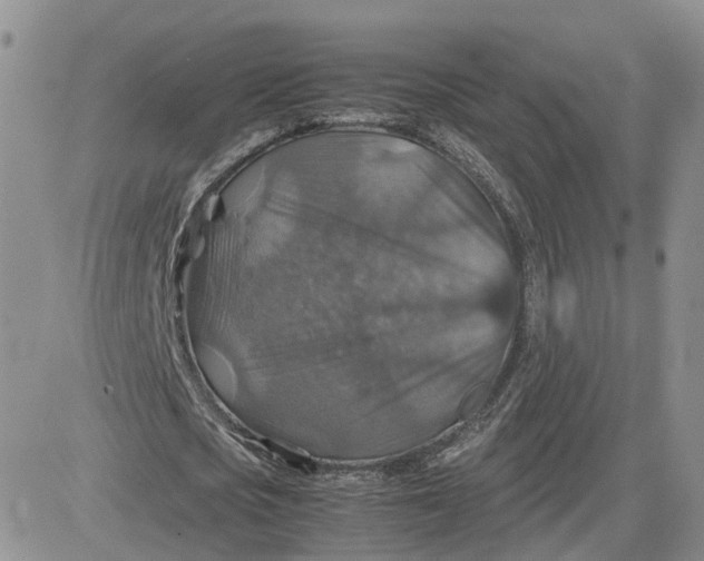 X0000081470721200701262002