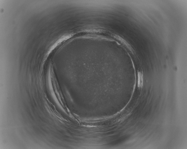 X0000081470723200701262002