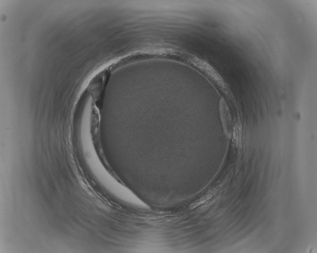 X0000081470724200701262002