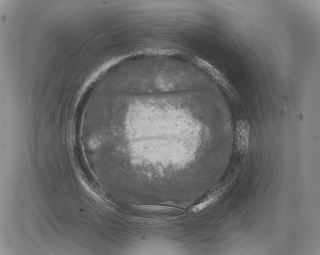 X0000081470726200701262002