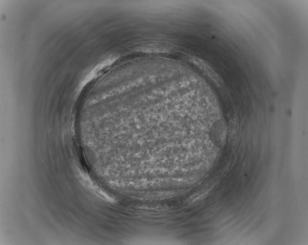 X0000081470727200701262002